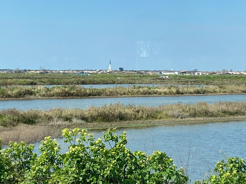 Huitrière de Ré-Ars-en-Re必去景点