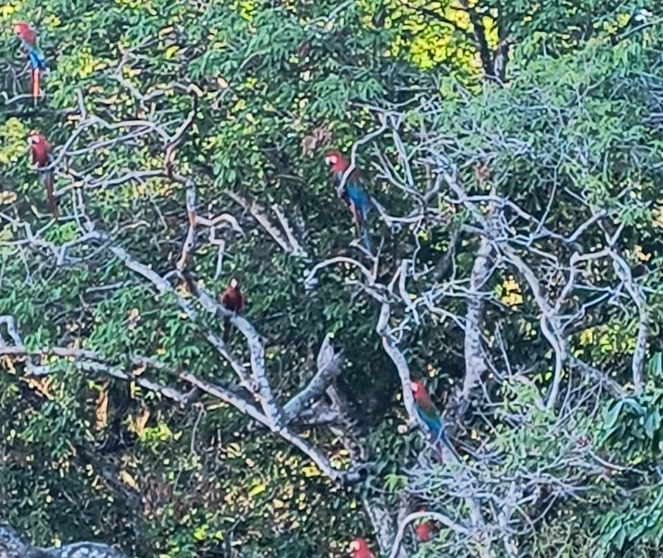 Buraco das Araras Ecoturismo-雅尔丁必去景点