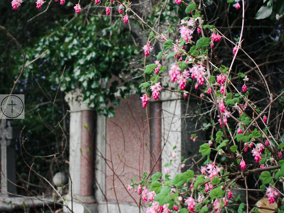 Balmoral Cemetery-贝尔法斯特必去景点