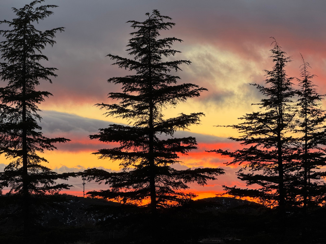 Bookshelf Winery And Venue-Anza必去景点