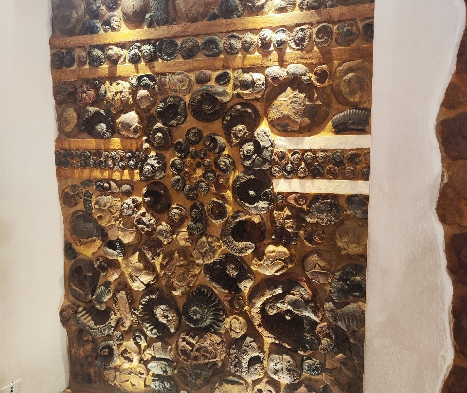 Museo El Fosil-莱瓦镇必去景点