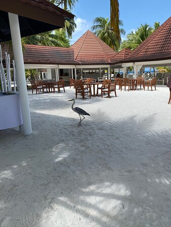 阿沙格酒店主图