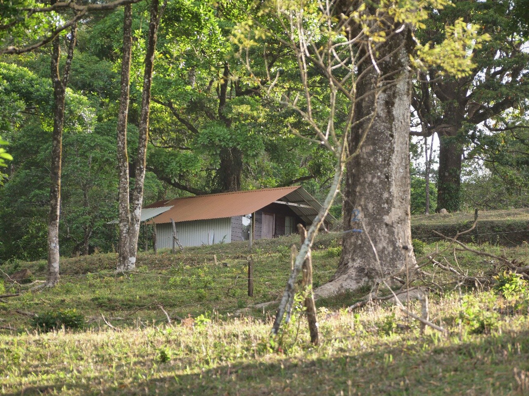 Rainforest Ecolodge