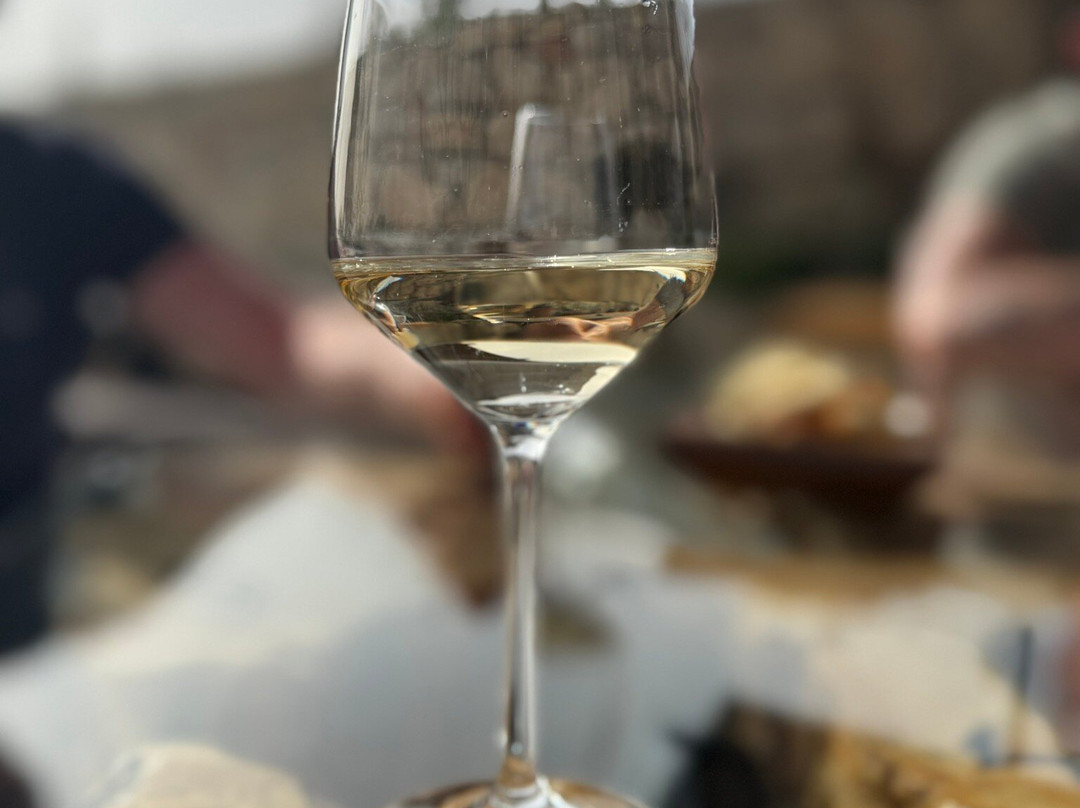 Sterna Winery景点图片
