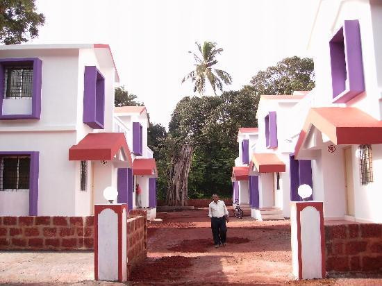 The Atharva Inn主图