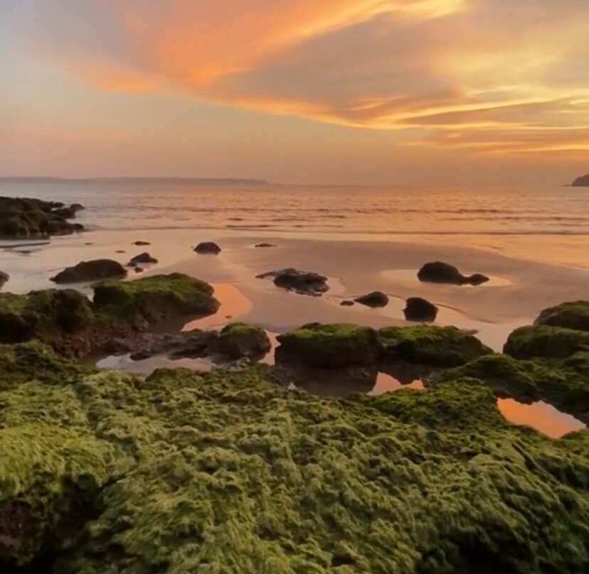 Bambolim Beach景点图片