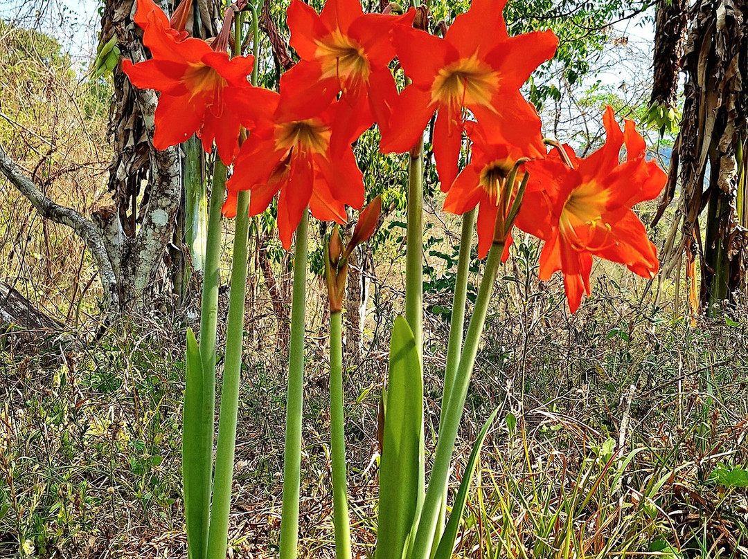Hagia Sofia Sabiduría Sagrada-Santa Cruz Huatulco必去景点