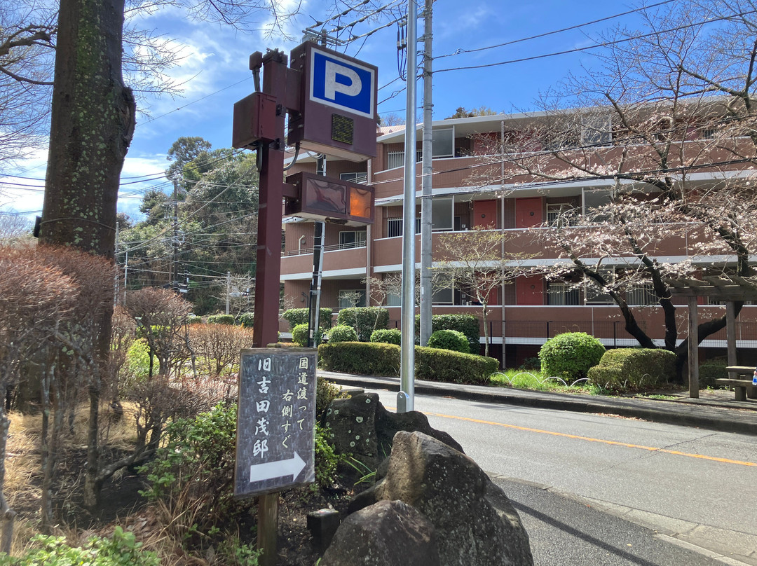 Oisojoyama Park-大矶町必去景点