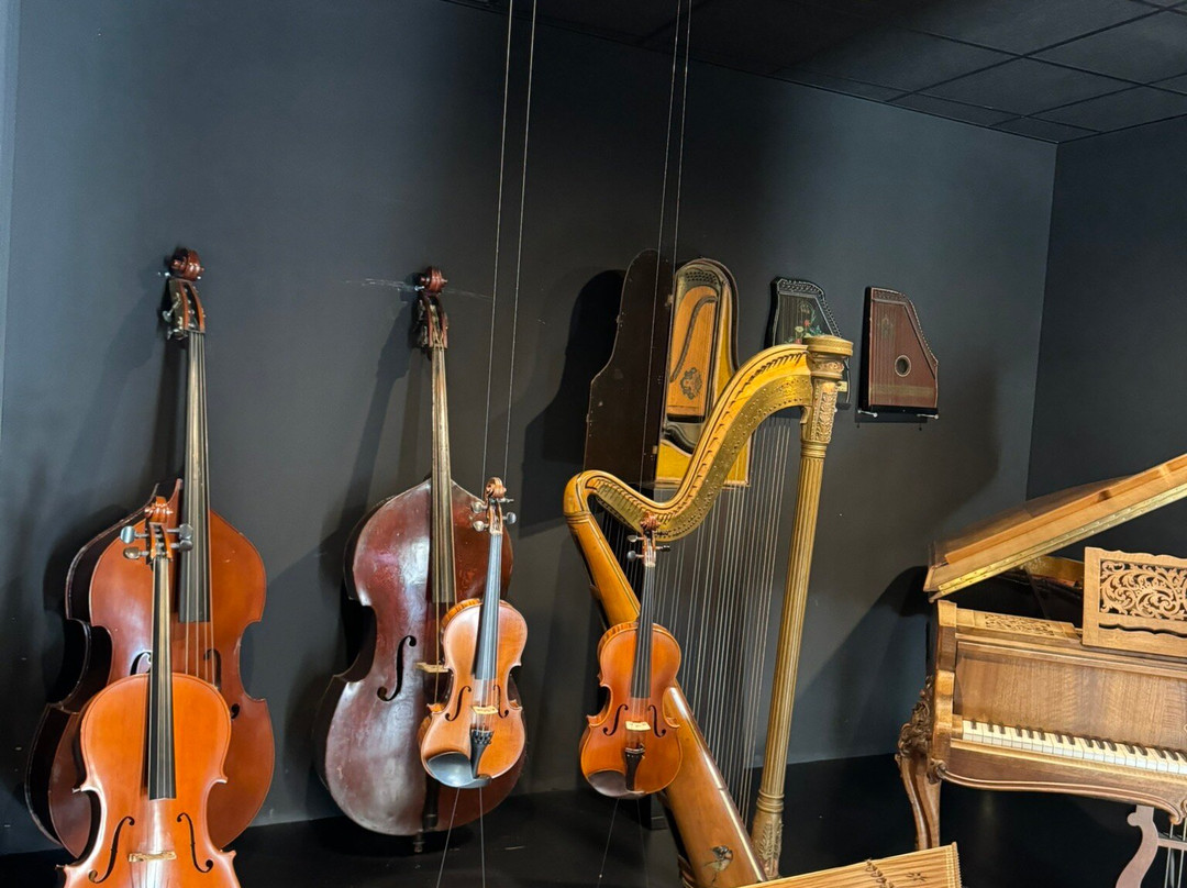 Museo Interactivo de la Musica Malaga景点图片