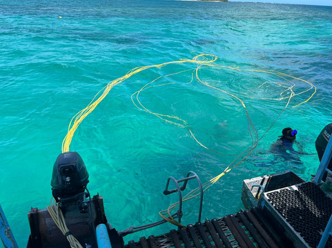 Solar Sea Walk (Undersea Walk Ltd)-大湾必去景点