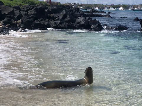 Adore Ecuador Travel-基多必去景点
