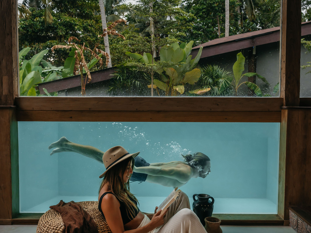 Casa Pohon Ubud主图