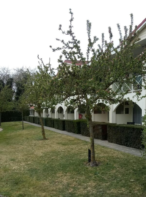 Fletcher Strandhotel Renesse主图