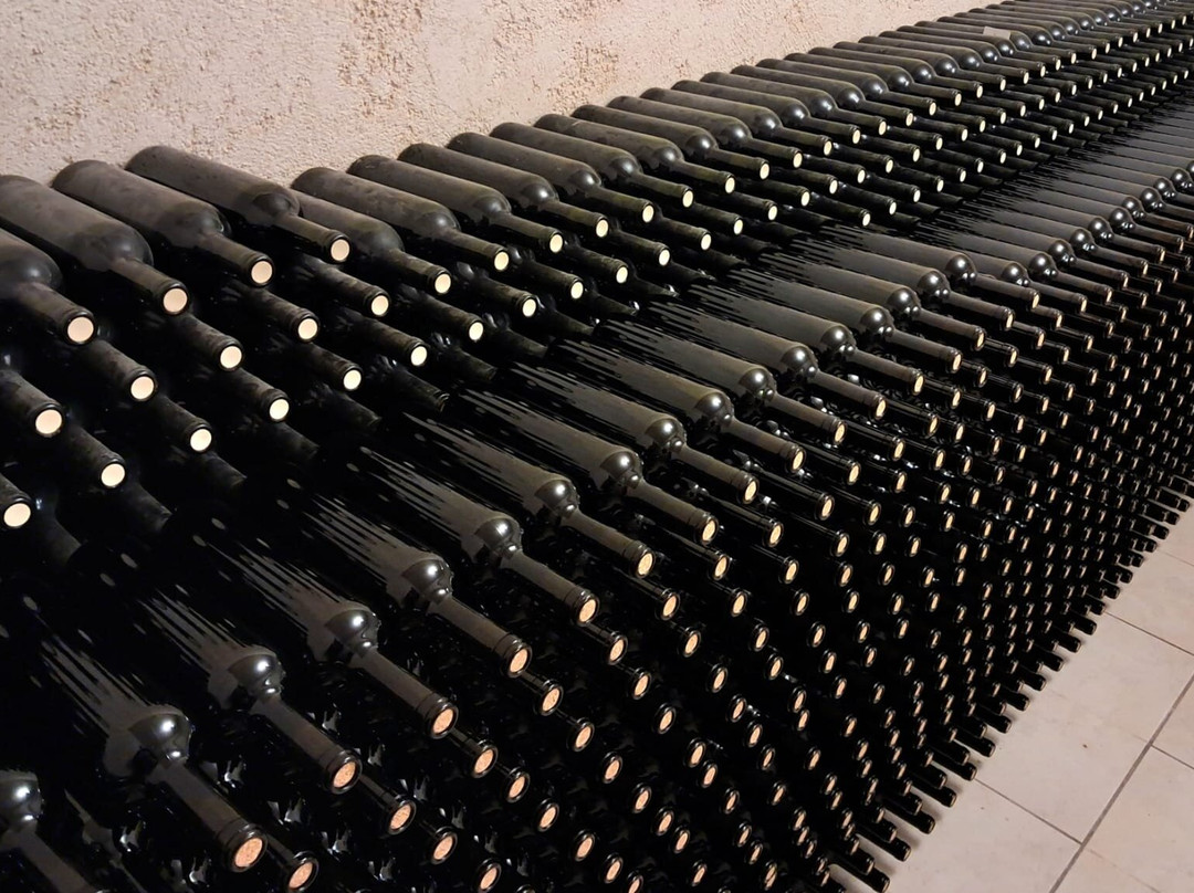 Winery Stilianou景点图片