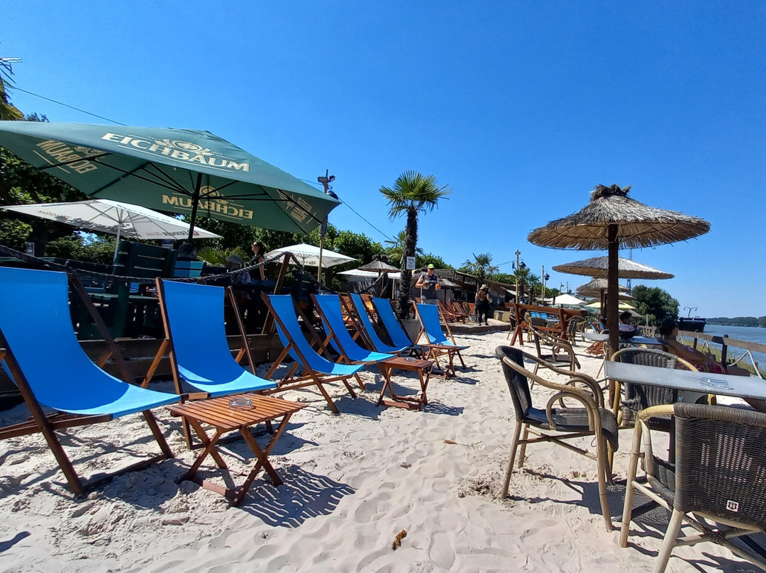 Strandbar443景点图片
