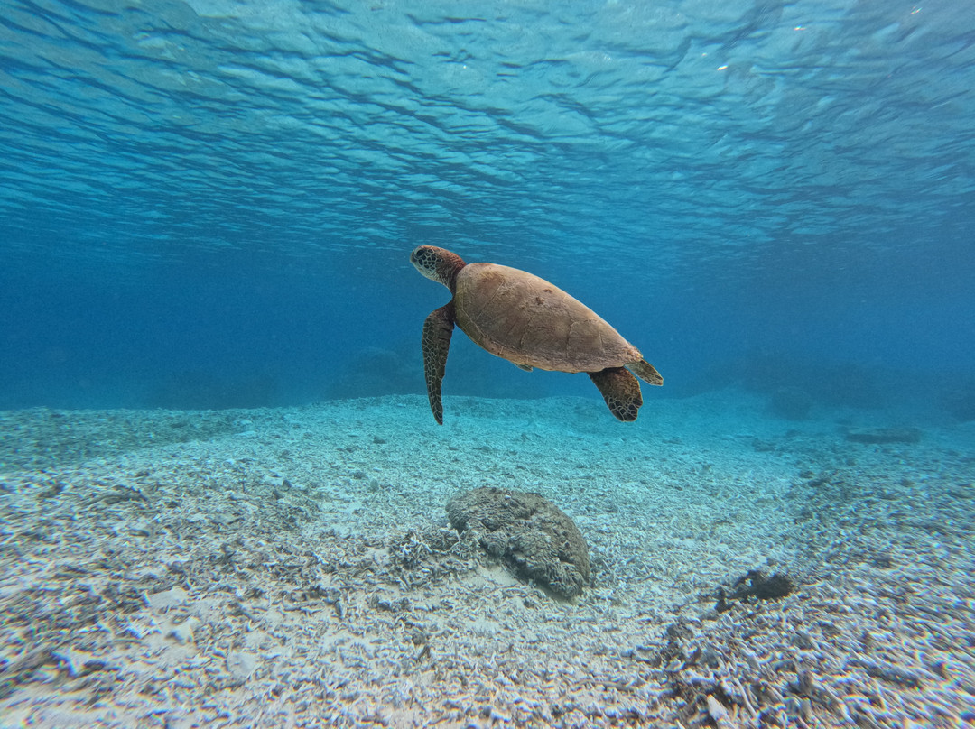 Shigira Beach-宫古岛市必去景点
