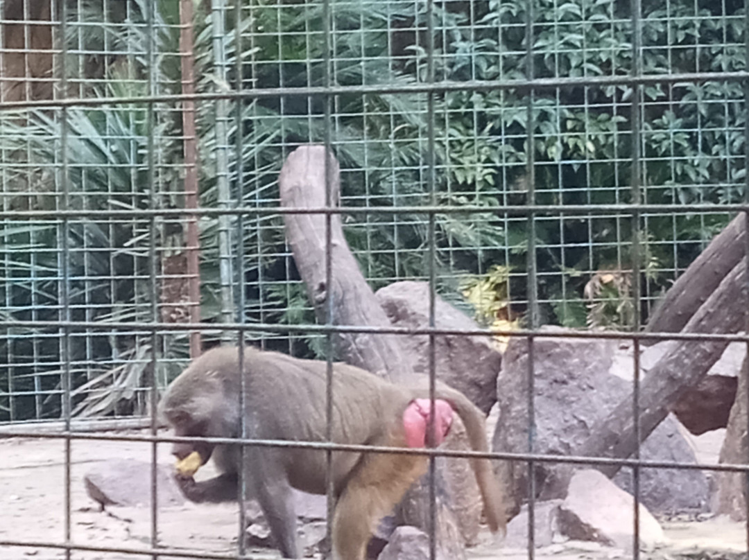 Eco de América-América必去景点