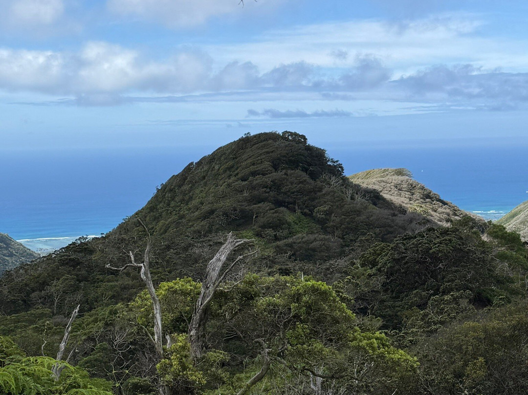 Hau'ula Loop Trail-哈乌乌拉必去景点