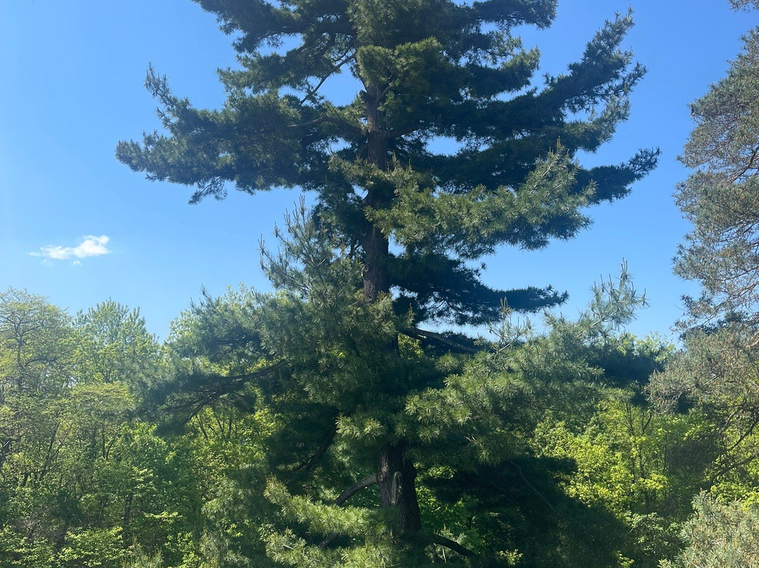 Wave Hill-布朗克斯必去景点