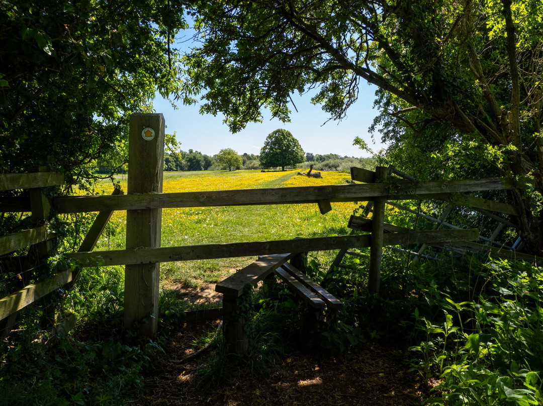 Beningbrough - National Trust景点图片