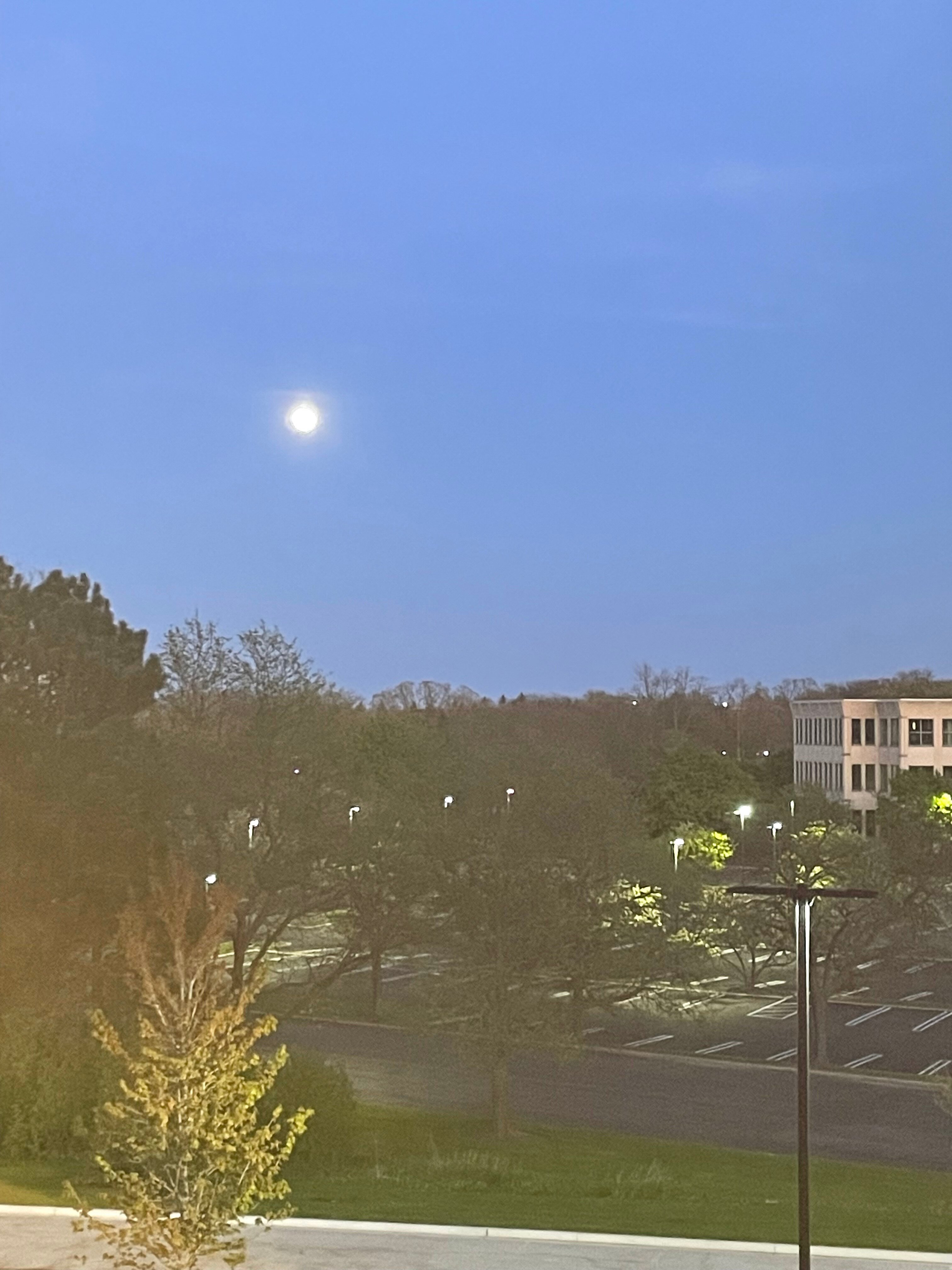 The Forester a Hyatt Place Hotel-官方