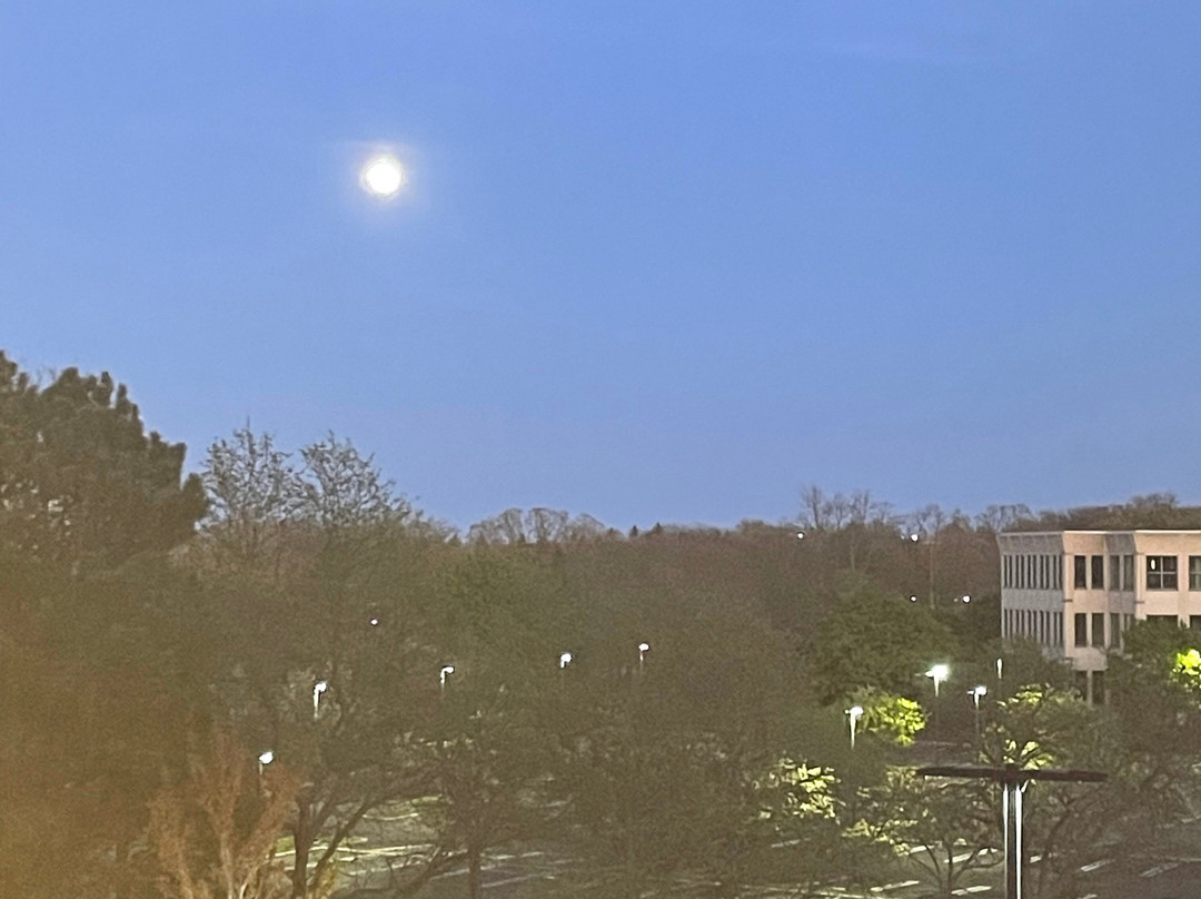 The Forester a Hyatt Place Hotel主图