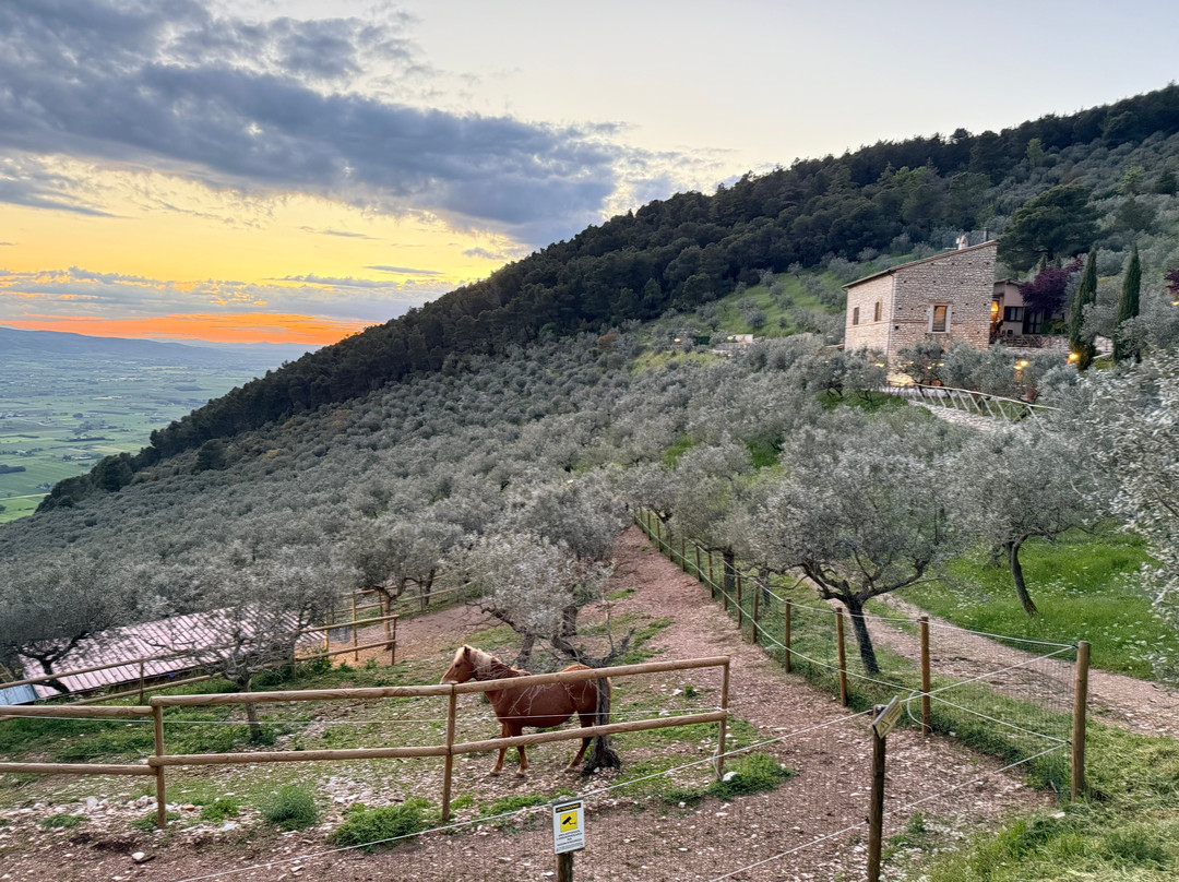Agriturismo il Bastione主图