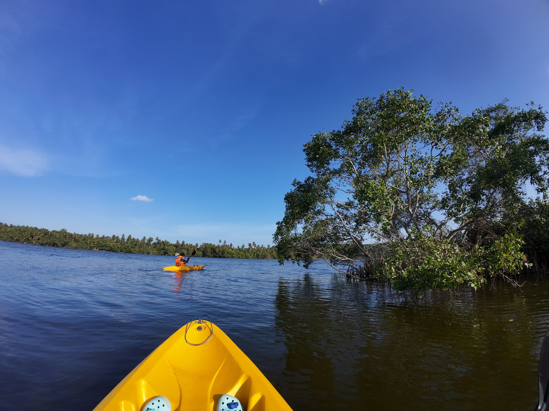 Taru Villas - Mawella Tangalle主图