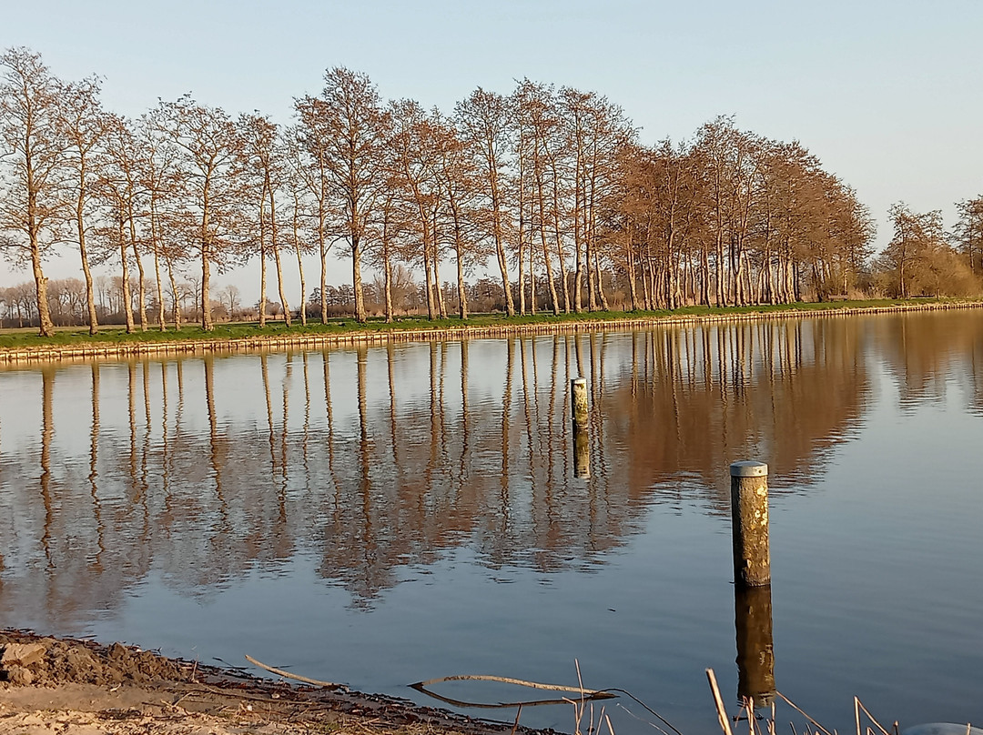 Slingelandse Plassen