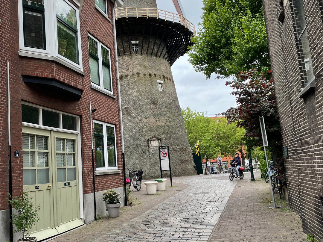 Museummolen de Walvisch-Schiedam必去景点