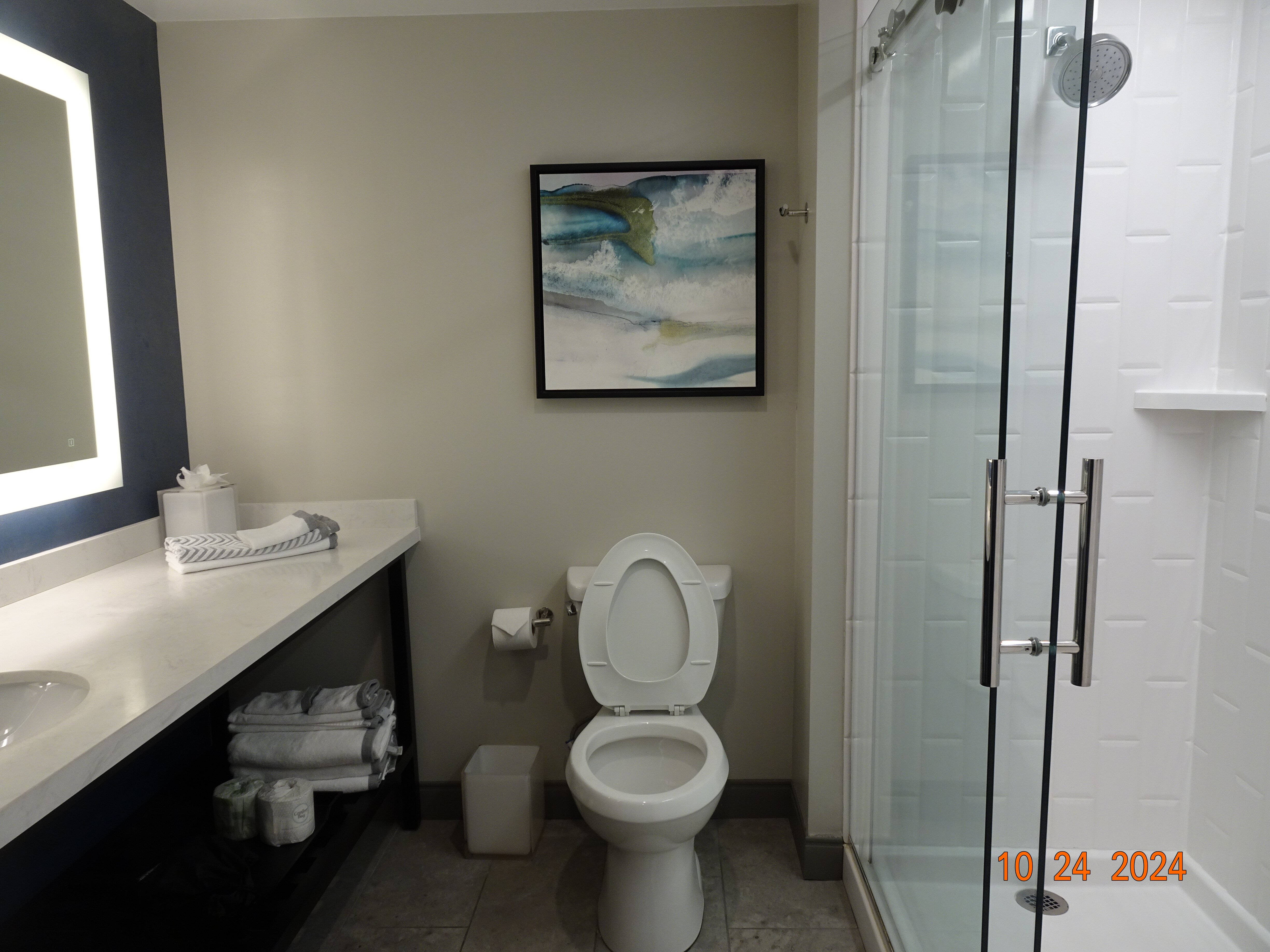 Cambria Hotel Orlando Airport-浴室