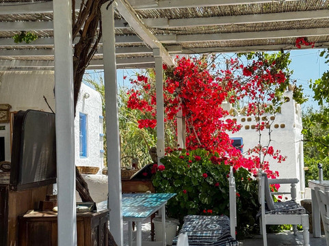 DD Tours Greece-米科诺斯必去景点