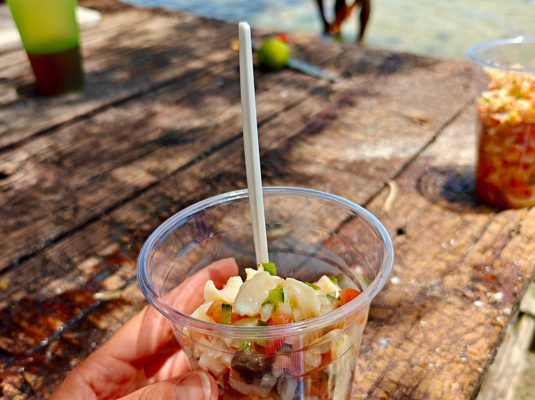 Fishbone Tours-伊柳塞拉必去景点