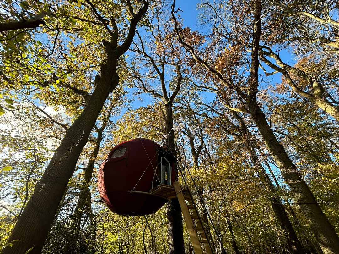 Strawberry Lane Tree Tent