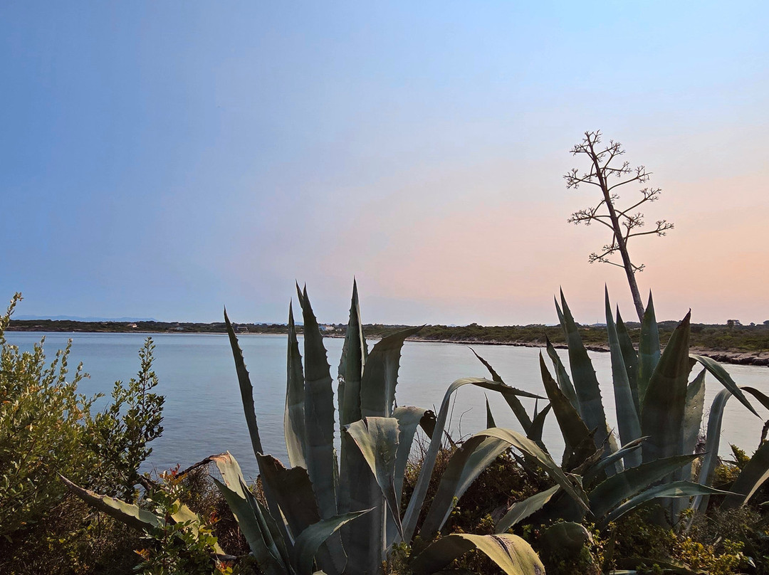 斯特拉德尔苏德酒店主图