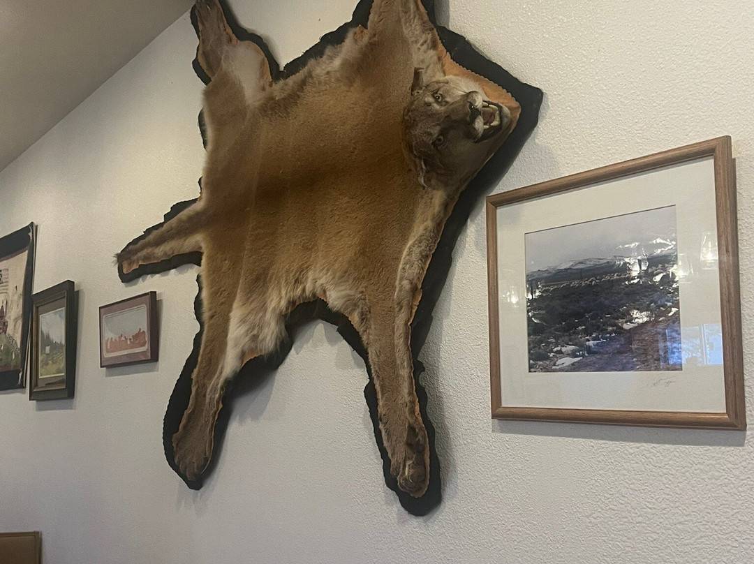 Border Inn Casino主图