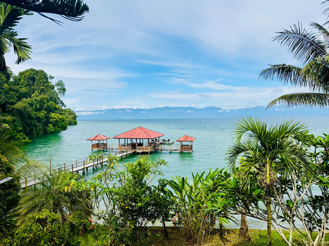 Dolidi Ndano Towale主图