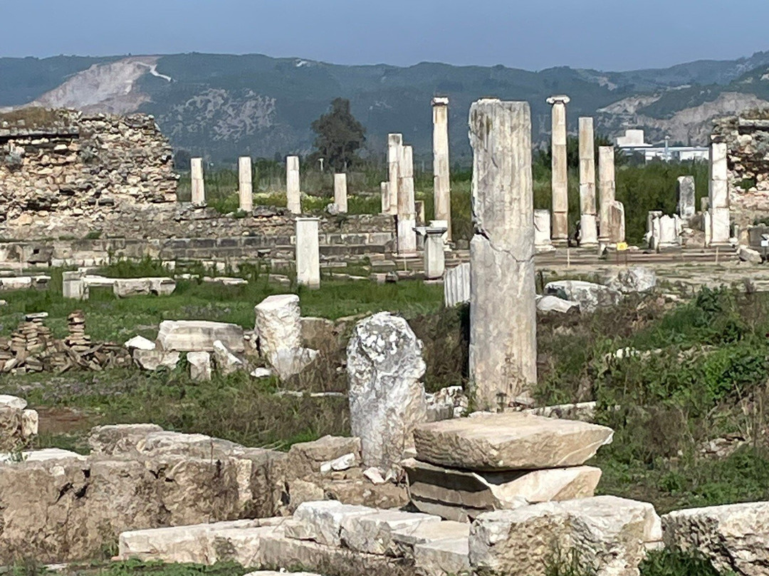 Magnesia Antik Kenti-Germencik必去景点