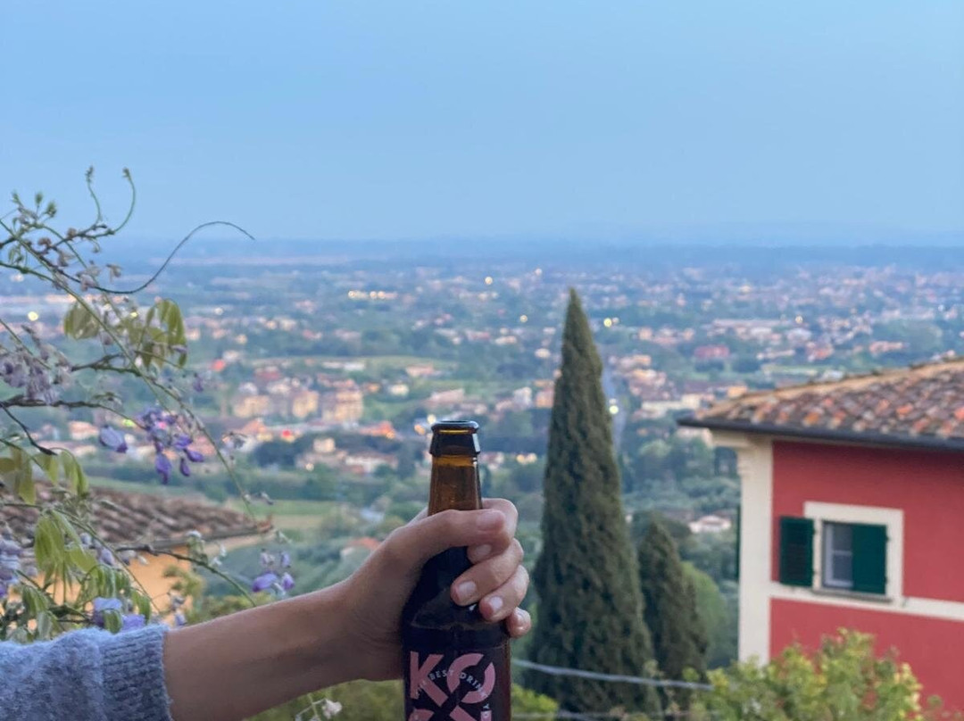 Koko Kombucha