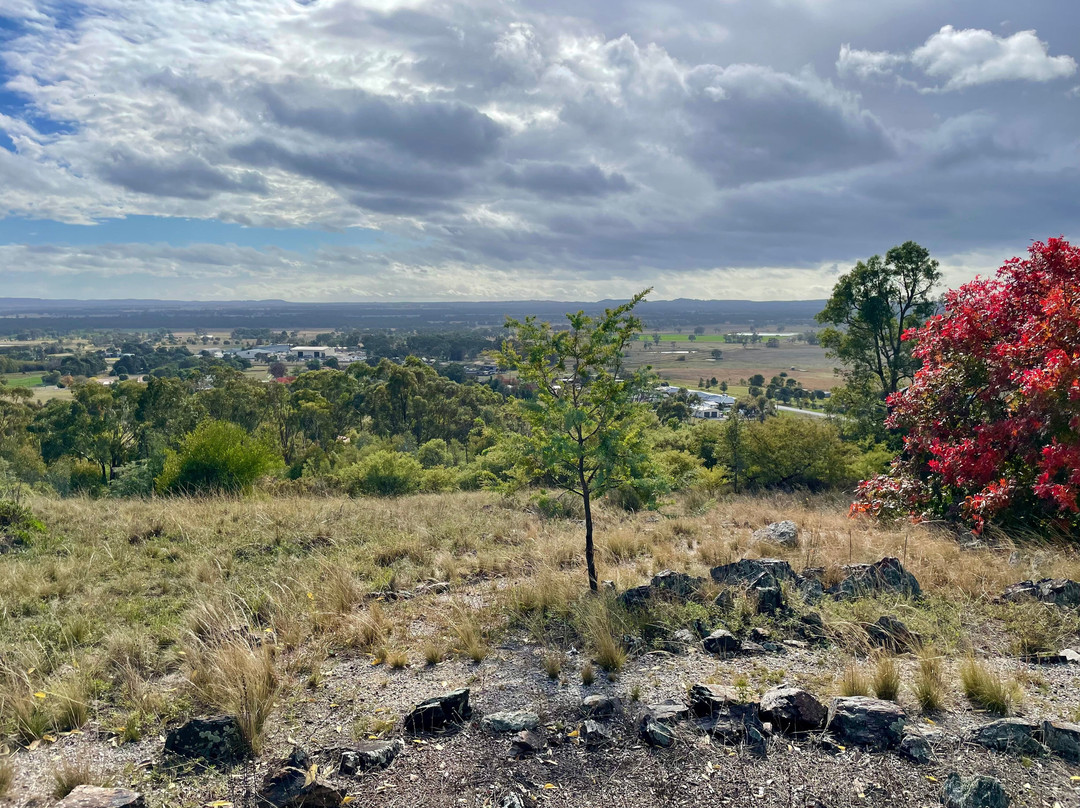 Flirtation Hill Lookout-Gulgong必去景点