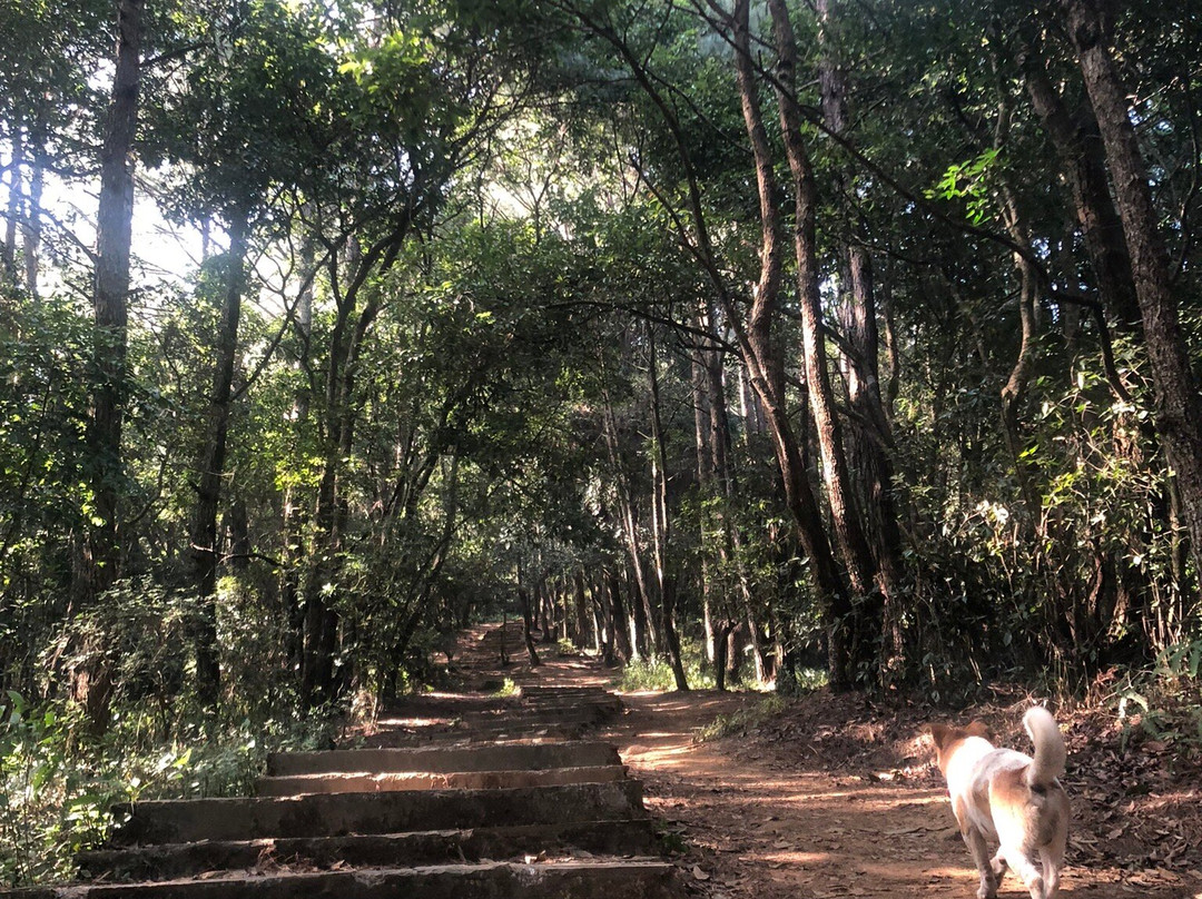 纳嘉郡森林保护区-加德满都必去景点