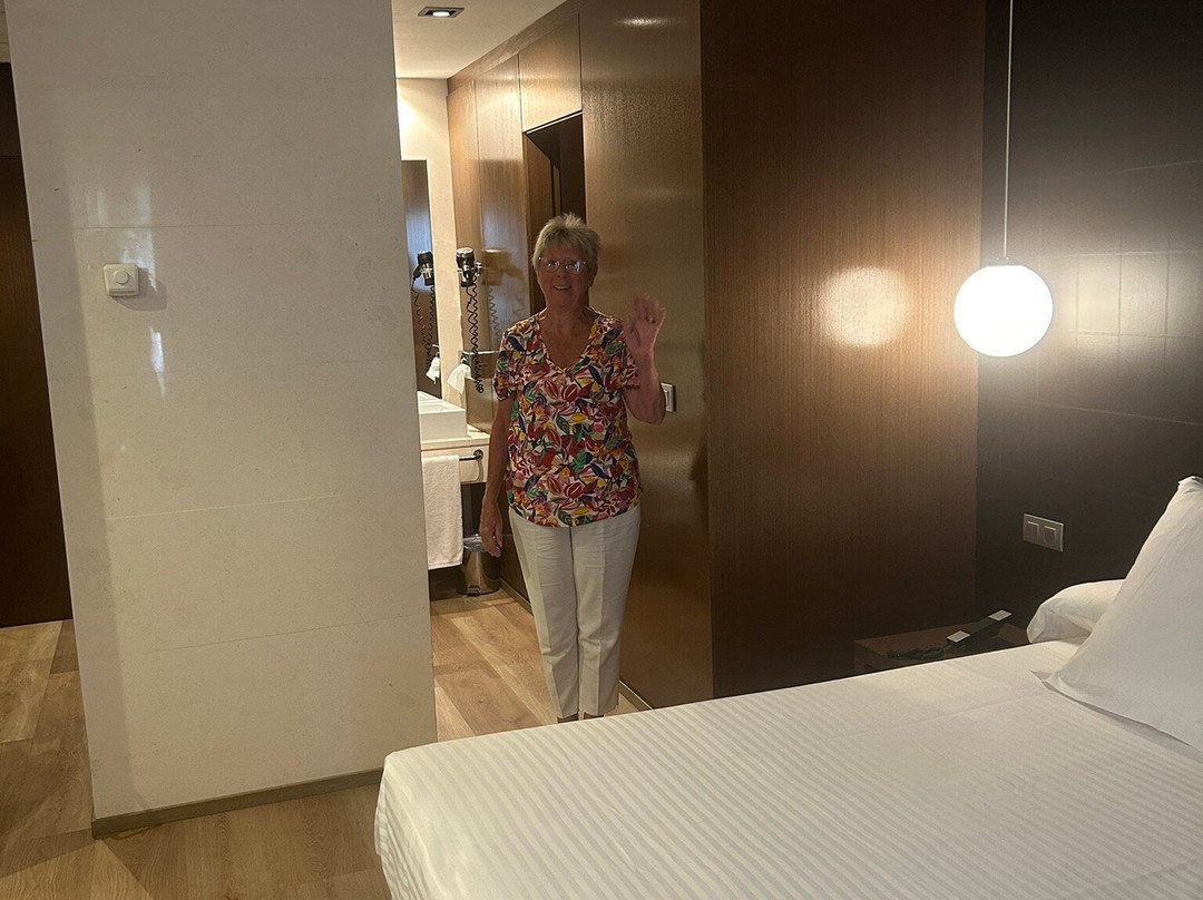 Hotel Veracruz Plaza & Spa主图