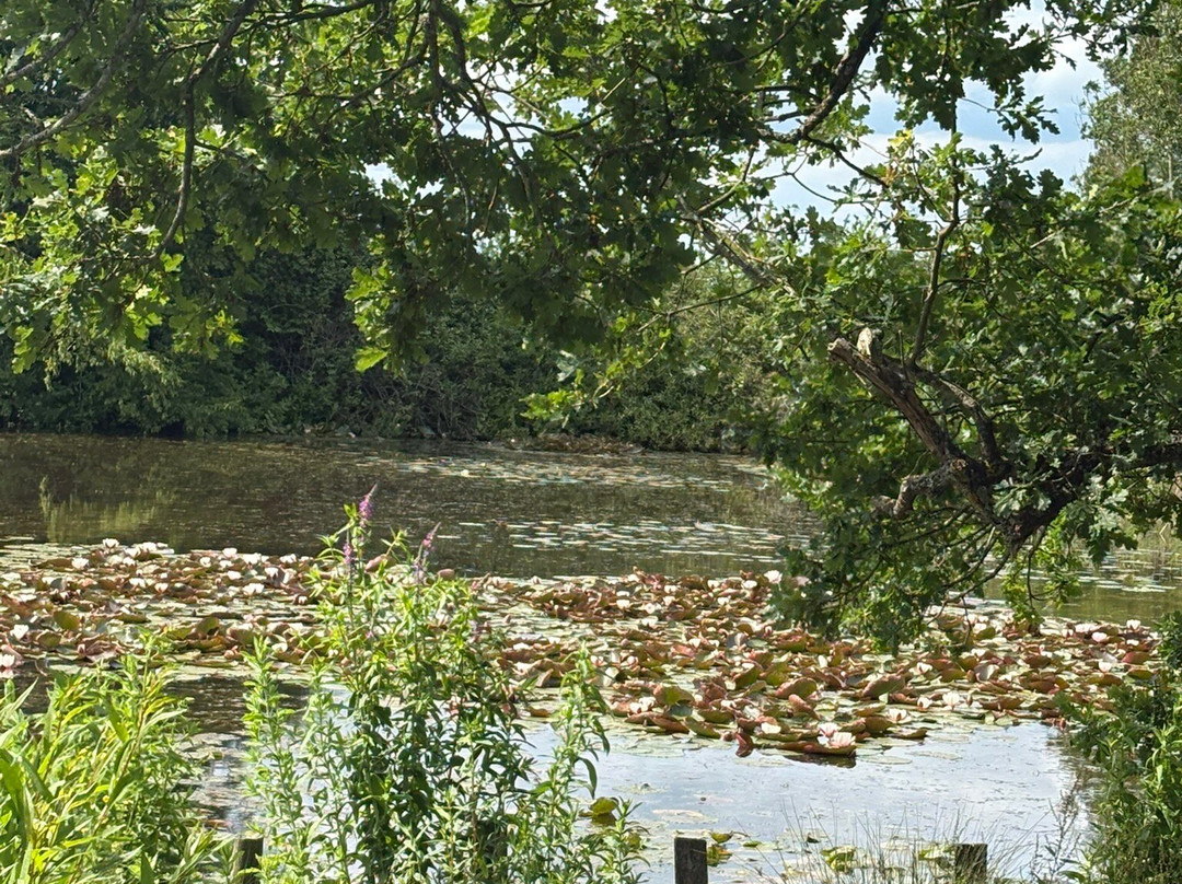 Hatchlands Park NT-吉尔福德必去景点