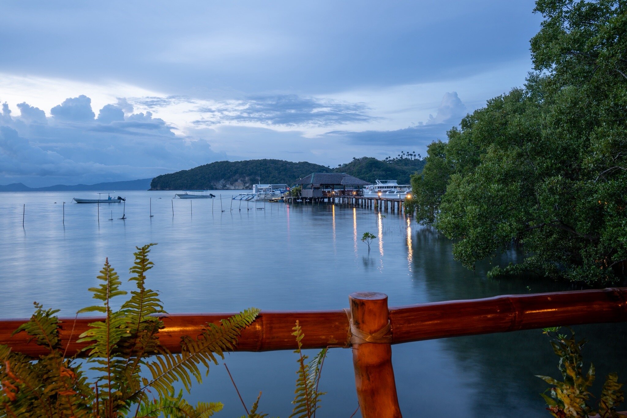Fishermen's Cove-官方