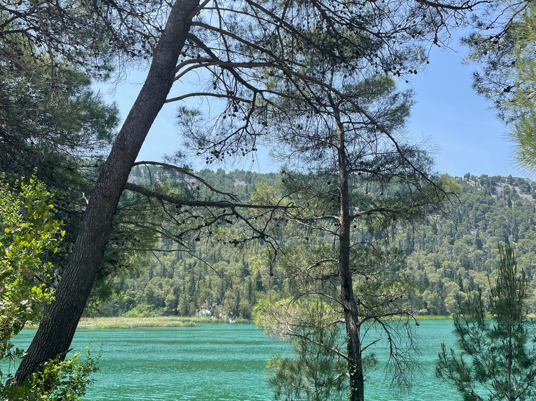 Riki Adventures Ebike Rental And Tours景点图片