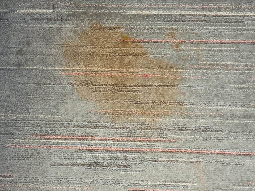 Hampton Inn & Suites Harrisburg/North主图