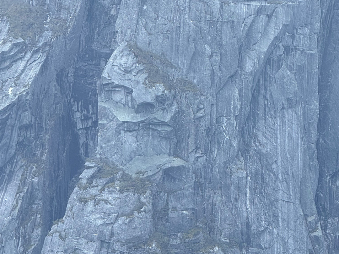 BonTours Boat Tours-Rocky Harbour必去景点