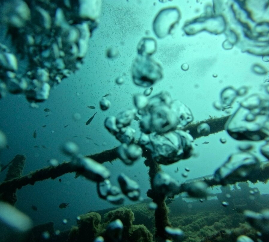 Atlantis Diving Lanzarote景点图片