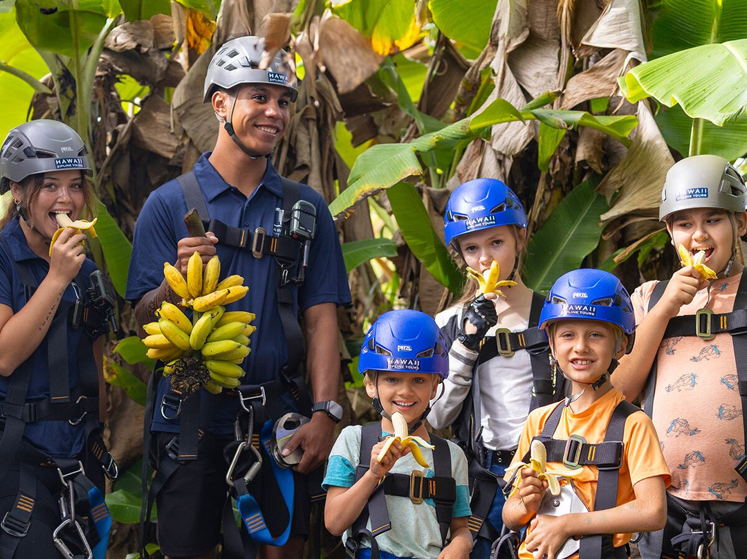 Hawaii Zipline & Hiking Tours-哈诺姆必去景点