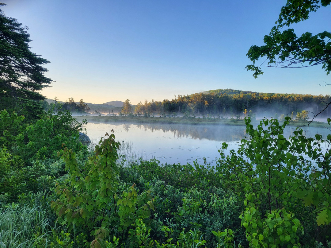 Pillsbury State Park景点图片